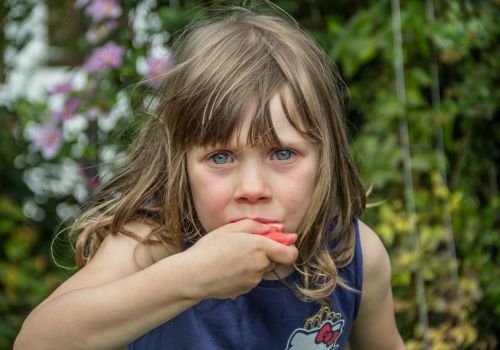 Watermelon-Face-2